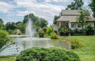 Vivobene Swiss-standard care